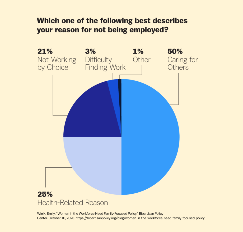 A pie chart titled "Which one of the following best describes your reason for not being employed?"